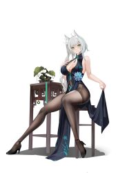 Rule 34 | 1girl, absurdres, animal ears, artist request, ass, bonsai, breasts, chair, chinese clothes, clothing cutout, flower ornament, full body, green eyes, hand on own chest, heels, highres, jewelry, kotoha rimu, large breasts, light blush, navel cutout, pantyhose, ring, shoes, sitting, smile, table, teeth, tree, virtual youtuber, white background, white hair