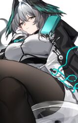 Rule 34 | 1girl, arknights, black feathers, black jacket, black pantyhose, breasts, commentary request, crossed legs, feathers, fingerless gloves, gloves, goma 74umai, green eyes, green feathers, grey hair, head on hand, head wings, highres, ho&#039;olheyak (arknights), jacket, large breasts, legs, looking at viewer, medium hair, pantyhose, simple background, sitting, solo, white background, white gloves, wings