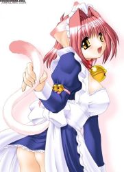 Rule 34 | animal ears, bell, cat ears, cat tail, happy, head turn, maid, pink hair, short hair, tail, tail grab, thighhighs, yellow eyes