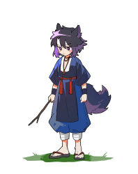 Rule 34 | 1boy, absurdres, animal ears, black hair, blue pants, character request, chinese clothes, highres, luo xiaohei zhanji, multicolored hair, nploser, pants, purple hair, red sash, sandals, sash, simple background, solo, streaked hair, tabard, tail, tassel, white background, wolf ears, wolf tail