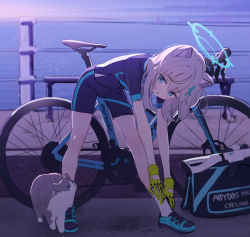 Rule 34 | 1girl, animal ear fluff, animal ears, bad id, bad twitter id, bent over, bicycle, black bag, black shirt, black shorts, blue archive, cat, commentary request, cutout gloves, cycling uniform, full body, gloves, grey hair, hair ornament, halo, highres, long hair, looking at animal, morning, ocean, outdoors, road, shiroko (blue archive), shiroko (cycling) (blue archive), shirt, shorts, sidelocks, solo, stretching, t-shirt, x hair ornament, yellow gloves, ytmkz