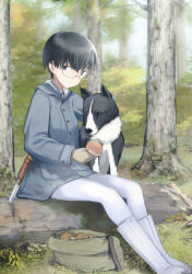 Rule 34 | 1girl, absurdres, animal ears, black eyes, black hair, dog, eini a lukkanen, forest, glasses, highres, knife, log, looking at viewer, military, military uniform, mushroom, nature, non-web source, official art, pantyhose, shimada fumikane, short hair, sitting, sitting on object, uniform, white pantyhose, world witches series