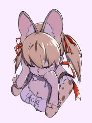 Rule 34 | animal costume, animal ear fluff, animal ears, cat ears, cat girl, cat tail, highres, kemono friends, kemono friends v project, large-spotted genet (kemono friends), long hair, ribbon, simple background, tail, twintails, virtual youtuber, y0whqzz8bkslezl