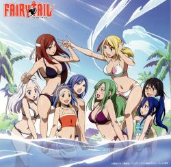 Rule 34 | 6+girls, bikini, bisca mulan, black hair, blonde hair, blue eyes, blue hair, breasts, cleavage, daphne (fairy tail), erza scarlet, fairy tail, glasses, green hair, highres, juvia lockser, large breasts, levy mcgarden, long hair, lucy heartfilia, mature female, mirajane strauss, multiple girls, navel, official art, ponytail, red hair, swimsuit, water, wendy marvell