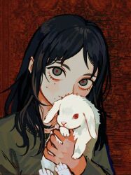 Rule 34 | 1girl, animal, black hair, chainsaw man, green sweater, holding, holding animal, holding rabbit, io (onisarashi), long hair, looking at viewer, mole, mole under eye, multiple moles, rabbit, red eyes, red hair, santa claus (chainsaw man), solo focus, sweater
