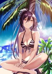 Rule 34 | 1girl, beach, bikini, black hair, blurry, breasts, cleavage, collarbone, day, depth of field, front-tie bikini top, front-tie top, hair between eyes, halterneck, high ponytail, highres, idolmaster, idolmaster shiny colors, long hair, no navel, ocean, palm tree, plant, ponytail, shirase sakuya, sitting, smile, solo, sone (takahiro-osone), striped bikini, striped clothes, swimsuit, thighs, tree