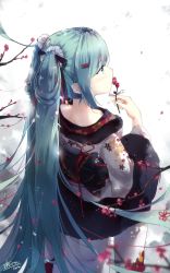 Rule 34 | 1girl, alternate costume, asahi kuroi, black ribbon, blue eyes, blue hair, blue nails, branch, floral print, flower, from behind, fur, hair ornament, hair ribbon, hairclip, hatsune miku, highres, holding, japanese clothes, kimono, long hair, long sleeves, looking to the side, motion blur, nail polish, nape, plum blossoms, profile, ribbon, shawl, sidelocks, signature, simple background, solo, standing, twintails, very long hair, vocaloid, white background, white kimono, wide sleeves