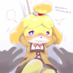 Rule 34 | 1girl, animal crossing, animal ears, arms behind head, arms up, artist name, bdsm, bell, blonde hair, blue eyes, blush, bondage, bound, breasts, dated, disembodied hand, dog ears, female focus, furry, furry female, furuya muku, gag, gagged, green skirt, hair bell, hair ornament, hair tie, isabelle (animal crossing), jacket, jingle bell, long sleeves, looking at viewer, nintendo, no humans, panties, pov, red ribbon, ribbon, rope, short hair, signature, simple background, skirt, small breasts, solo, sweat, tears, text focus, trembling, underwear, upskirt, white background, white panties, yellow jacket
