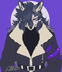 Rule 34 | 1girl, animal ears, animal nose, artist name, belt, black coat, blue eyes, coat, collarbone, fur-trimmed coat, fur trim, furrification, furry, furry female, grey fur, hair over one eye, highres, limbus company, long hair, looking at viewer, mudosa, project moon, purple background, signature, simple background, snout, solo, tentacles, turtleneck, two-tone fur, white background, white fur, winter clothes, wolf (limbus company), wolf ears, wolf girl