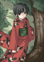 Rule 34 | 1girl, black eyes, black hair, copyright name, japanese clothes, kimono, masakazu (yukisetsu), mushishi, outdoors, renzu (mushishi), short hair, solo, tree