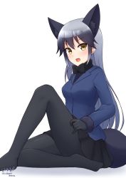 Rule 34 | 1girl, animal ears, artist name, black bow, black bowtie, black gloves, black pantyhose, black shirt, black skirt, blazer, blue jacket, blush, bow, bowtie, brown eyes, commentary, fox ears, fox tail, gloves, gradient hair, grey hair, highres, jacket, kemono friends, knee up, long hair, long sleeves, looking at viewer, miniskirt, multicolored hair, no shoes, open mouth, pantyhose, shiraha maru, shirt, signature, silver fox (kemono friends), simple background, sitting, skirt, solo, tail, white background