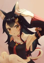 Rule 34 | :o, absurdres, animal ears, armpits, black hair, choker, crop top, crop top overhang, detached sleeves, hand on own knee, hand up, highres, hololive, kneeling, long hair, ookami mio, open mouth, parted bangs, ra z y, raised eyebrows, red choker, sailor collar, sidelocks, simple background, virtual youtuber, white legwear, wide sleeves, yellow eyes