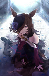 Rule 34 | 1girl, animal ears, arm support, bare shoulders, black footwear, black hat, blue dress, blue flower, blue rose, brown hair, brown thighhighs, commentary request, dagger, day, dress, flower, full body, hair over one eye, hand up, hat, hat flower, highres, holding, holding dagger, holding knife, holding weapon, horse ears, horse girl, horse tail, indoors, knife, long hair, long sleeves, looking at viewer, off-shoulder dress, off shoulder, on floor, petals, pleated dress, red eyes, rice shower (umamusume), rose, shoes, sleeves past wrists, solo, sunlight, tail, tenni noboru, thighhighs, tilted headwear, umamusume, very long hair, weapon