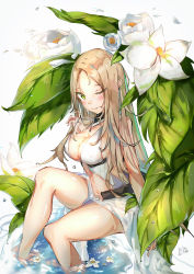 Rule 34 | 1girl, absurdres, alchemy stars, blonde hair, blush, breasts, chinese commentary, cleavage, clothing cutout, commentary request, covered erect nipples, dated, feet out of frame, flower, fogfox, green eyes, halterneck, highres, large breasts, leaf, long hair, looking at viewer, midriff, mixed-language commentary, navel, one-piece swimsuit, one eye closed, parted bangs, parted lips, partial commentary, plant, side cutout, signature, sitting, swimsuit, uriah (alchemy stars), very long hair, water, water drop, white background, white flower, white one-piece swimsuit