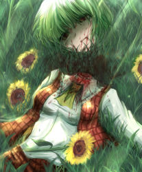 Rule 34 | ascot, bad end, blood, blood on clothes, blood on face, death, decapitation, empty eyes, female focus, flower, grass, green hair, guro, kazami yuuka, lying, on back, plaid, plaid skirt, plaid vest, red eyes, severed head, shimo (depthbomb), short hair, skirt, skirt set, solo, sunflower, touhou, vest
