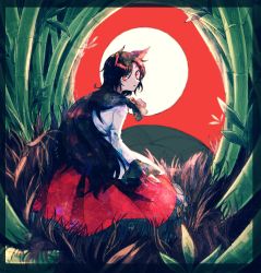 Rule 34 | 1girl, animal ears, bamboo, bamboo forest, brooch, brown hair, dress, forest, full moon, hanafuda, highres, imaizumi kagerou, itomugi-kun, jewelry, long hair, long sleeves, moon, nature, red background, red dress, red eyes, solo, touhou, white dress, wolf ears
