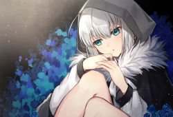 Rule 34 | 1girl, ahoge, black cape, blue eyes, blue flower, blue rose, cape, commentary request, coyucom, fate (series), flower, fur-trimmed cape, fur trim, gray (fate), hair between eyes, hands up, head tilt, hood, hood up, jacket, knees up, looking away, looking to the side, lord el-melloi ii case files, parted lips, rose, silver hair, sitting, solo, v-shaped eyebrows, white jacket