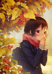 Rule 34 | 1girl, autumn, autumn leaves, bag, blurry, blush, breath, brown eyes, brown hair, cold, covering own mouth, depth of field, enpera, food, from side, fruit, grey sweater, highres, leaf, long sleeves, matching hair/eyes, original, own hands together, pocket, red scarf, scarf, school bag, school uniform, shoulder bag, solo, sweater, upper body, w arms, warabimochi kinako