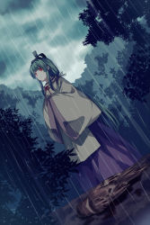 Rule 34 | 1girl, akinomiya asuka, black hat, blunt bangs, closed mouth, commentary request, green hair, hat, highres, japanese clothes, long hair, long sleeves, mystical power plant, neck ribbon, outdoors, rain, red eyes, red ribbon, ribbon, sleeves past fingers, sleeves past wrists, solo, standing, suitokuin tenmu, tate eboshi, touhou, wide sleeves