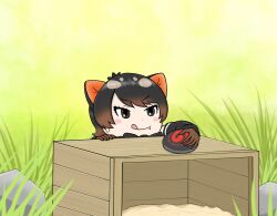 Rule 34 | 1girl, :d, animal ears, black hair, blush, bow, brown hair, crate, extra ears, fang, food, gloves, highres, japari bun, kemono friends, kemono friends 3, multicolored hair, open mouth, short hair, smile, solo, tasmanian devil (kemono friends), tasmanian devil ears, tobinosuke12, tongue, tongue out