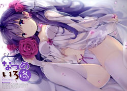 Rule 34 | 1girl, absurdres, animal ears, artist name, babydoll, bed sheet, blue eyes, blush, body blush, bow, bow panties, breasts, bridal veil, brooch, collarbone, detached collar, e 2, ear ribbon, english text, flower, frilled panties, frills, gem, glowing jewelry, gradient eyes, hair between eyes, hair flower, hair ornament, highres, jewelry, lingerie, logo, long hair, looking at viewer, lying, magazine scan, medium breasts, multicolored eyes, natsume eri, navel, official art, on bed, on side, original, panties, pink brooch, pink eyes, pink flower, pink lips, pink ribbon, pink rose, purple hair, ribbon, ribbon babydoll, rose, scan, see-through, shiny skin, skindentation, smile, solo, thighhighs, translation request, underwear, underwear only, veil, water drop, white babydoll, white frills, white panties, white thighhighs
