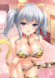 Rule 34 | 10s, 1girl, animal print, bad id, bad pixiv id, blue eyes, breasts, chain, collar, highres, kantai collection, kashima (kancolle), large breasts, leash, long hair, looking at viewer, silver hair, solo, tail, thighhighs, tiger print, tiphereth, twintails, wavy hair
