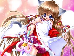 Rule 34 | 1girl, animal ears, cat ears, gohei, hakama, hakama skirt, japanese clothes, magical girl, miko, red hakama, skirt, solo