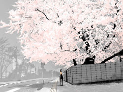 Rule 34 | 1girl, cherry blossoms, emukami, perspective, road, scenery, school uniform, serafuku, solo, street, tree