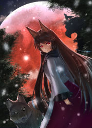 Rule 34 | 1girl, animal ears, bamboo, brooch, brown hair, dress, dutch angle, forest, full moon, highres, imaizumi kagerou, jewelry, long hair, long sleeves, looking at viewer, luke (kyeftss), moon, nature, night, red eyes, skirt, sky, solo, tail, touhou, very long hair, wide sleeves, wolf, wolf ears, wolf tail