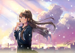 Rule 34 | 1girl, arm behind back, black skirt, blush, brown hair, cityscape, closed mouth, cloud, cloudy sky, cowboy shot, day, floating hair, holding, holding letter, kazuharu kina, letter, light rays, long hair, long sleeves, looking at viewer, love letter, neckerchief, original, outdoors, pleated skirt, red eyes, school uniform, serafuku, signature, skirt, sky, smile, snowing, solo, standing, sunbeam, sunlight, tareme, very long hair, white neckerchief, wind, winter