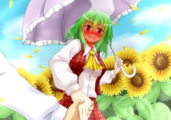 Rule 34 | blush, flower, green hair, holding hands, kazami yuuka, sunflower, ten&#039;yoku, umbrella
