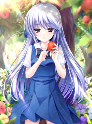 Rule 34 | 1girl, apple, apple tree, black bow, blue dress, blue hair, blurry, blush, bow, closed mouth, collared shirt, commentary request, cowboy shot, dappled sunlight, day, depth of field, dress, eyelashes, food, forest, fruit, grisaia (series), grisaia no kajitsu, hair between eyes, hands up, highres, holding, holding food, holding fruit, index finger raised, kazami kazuki, light blue hair, long hair, looking at viewer, nature, outdoors, red eyes, scenery, school uniform, shirt, short sleeves, sidelocks, sleeveless, sleeveless dress, smile, solo, standing, straight-on, straight hair, sunlight, tree, very long hair, white shirt, xiexianglg