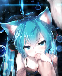 Rule 34 | 1girl, animal ears, blue eyes, blue hair, cat ears, cat girl, finger to mouth, hatsune miku, highres, qys3, vocaloid