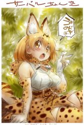 Rule 34 | 10s, 1girl, alternate costume, animal ears, bad id, bad twitter id, bare shoulders, belt, blonde hair, blush, caption, check translation, commentary request, elbow gloves, fang, gloves, high-waist skirt, kemono friends, leaf, multicolored hair, nyororiso (muyaa), aged up, open mouth, partially translated, serval (kemono friends), serval print, serval tail, short hair, sitting, skirt, sleeveless, solo, tail, thighhighs, translation request, yellow eyes