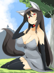 Rule 34 | 1girl, animal ears, black hair, black thighhighs, breasts, choker, cleavage, creatures (company), elbow gloves, fox ears, fox tail, game freak, gen 3 pokemon, gloves, large breasts, long hair, mightyena, nintendo, personification, pokemon, sitting, solo, tail, thighhighs, toudori, tree, wolf ears, wolf tail