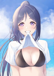 Rule 34 | 1girl, :d, arhah, bikini, blouse, blue hair, blue sky, blush, breasts, cleavage, clothes in mouth, clothes lift, cloud, day, halterneck, highres, large breasts, lifted by self, long hair, looking at viewer, love live!, love live! sunshine!!, matsuura kanan, mouth hold, ocean, open mouth, outdoors, ponytail, purple eyes, shirt, shirt grab, shirt in mouth, shirt lift, sidelocks, sky, smile, solo, string bikini, swimsuit, water, white shirt