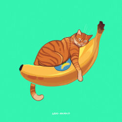 Rule 34 | animal, animal focus, artist name, banana, cat, closed eyes, commentary, english commentary, food, fruit, gatoiberico, green background, highres, no humans, original, simple background