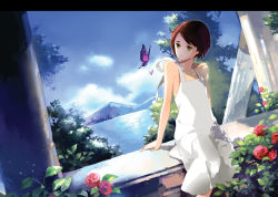 Rule 34 | brown hair, bug, butterfly, cityscape, cloud, day, dress, flower, insect, leaf, plant, short hair, sitting, sky, solo, tiru, water, white dress, yellow eyes