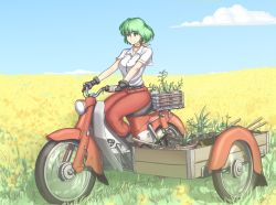 Rule 34 | 1girl, belt, blue sky, cloud, day, driving, earrings, field, fingerless gloves, gloves, grass, green hair, hater (hatater), horizon, jewelry, kazami yuuka, looking away, motor vehicle, motorcycle, outdoors, pants, plant, potted plant, red pants, shirt, short hair, sitting, sky, smile, solo, touhou, white shirt