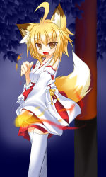 Rule 34 | 1girl, ahoge, animal ears, bare shoulders, blonde hair, blush, breasts, detached sleeves, fang, fire, fox ears, fox tail, hakama, hakama skirt, japanese clothes, leaf, looking at viewer, miko, nature, open mouth, original, red hakama, skirt, solo, tabi, tachi yure, tail, thighhighs, white thighhighs, yellow eyes