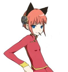 Rule 34 | 1girl, animal ears, artist request, blue eyes, cat ears, cat girl, character request, female focus, gintama, koshochka, solo, tagme, white background