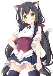 Rule 34 | 1girl, alternate costume, animal ear fluff, animal ears, apron, black hair, black skirt, black thighhighs, blush, cat ears, cat girl, cat tail, closed mouth, collared shirt, commentary request, detached sleeves, enmaided, frilled skirt, frills, green eyes, hand on own hip, highres, holding, karyl (princess connect!), korie riko, long hair, low twintails, maid, maid headdress, multicolored hair, princess connect!, puffy short sleeves, puffy sleeves, shirt, short sleeves, simple background, skirt, sleeveless, sleeveless shirt, solo, streaked hair, tail, tail raised, thighhighs, twintails, very long hair, waist apron, white apron, white background, white hair, white shirt, white sleeves