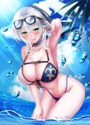 Rule 34 | 1girl, alternate costume, arm behind head, arm up, armpits, bare shoulders, bikini, blue collar, blue skirt, blue sky, blush, breasts, cleavage, cloud, cloudy sky, collar, collarbone, commentary request, day, eyelashes, eyewear on head, green eyes, groin, hair between eyes, highleg, highleg bikini, highres, hololive, horizon, large breasts, leaning forward, looking at viewer, microskirt, midriff, mole, mole on breast, navel, ocean, open mouth, outdoors, parted lips, shirogane noel, shirogane noel (summer 2020), short hair, sidelocks, silver hair, skirt, sky, smile, solo, stomach, sunglasses, swimsuit, virtual youtuber, wading, water, water drop, wet, yuuzuki hijiri
