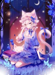 Rule 34 | 1girl, absurdres, arm support, artist name, blue bow, blue dress, blue eyes, blue flower, blue ribbon, blue rose, book, bow, cat tail, commentary, crescent moon, dress, flower, frills, hand up, hat, hat bow, highres, long sleeves, mob cap, moon, nail polish, neck ribbon, nightgown, original, pink hat, puffy sleeves, red nails, ribbon, rose, seiza, sheya, short hair, signature, silver hair, sitting, solo, star (symbol), stuffed animal, stuffed cat, stuffed toy, tail, tail bow, tail ornament, thorns
