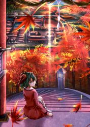Rule 34 | 1girl, animal ears, building, commentary request, day, dog ears, dress, frilled dress, frills, green eyes, green hair, haru-kun, highres, kasodani kyouko, leaf, long sleeves, looking at viewer, looking back, maple leaf, nature, ocean, pink dress, rope, shide, shimenawa, sitting, stairs, stone lantern, torii, touhou, tree