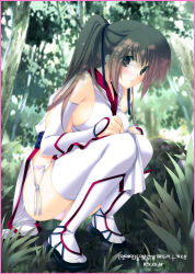 Rule 34 | 1girl, bare shoulders, blush, breasts, brown eyes, brown hair, day, dead or alive, elbow gloves, expressionless, forest, geta, gloves, grass, hair ribbon, iizuki tasuku, kasumi (doa), korean text, long hair, looking at viewer, nature, outdoors, panties, pelvic curtain, pink panties, ponytail, ribbon, sash, sideboob, solo, squatting, tecmo, thighhighs, underwear, white gloves, white thighhighs