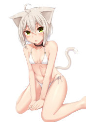 Rule 34 | 1girl, absurdres, animal ears, bare legs, between legs, bikini, blonde hair, blush, breasts, cat ears, cat girl, cat tail, collar, collarbone, green eyes, hair between eyes, half-closed eyes, hand between legs, highres, ivan wang, looking at viewer, navel, open mouth, original, platinum blonde hair, short hair, sidelocks, silver hair, simple background, sitting, small breasts, solo, swimsuit, tail, thighs, tsurime, wariza, white background, white bikini