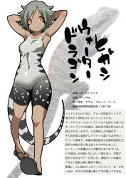 Rule 34 | 1girl, armpits, character profile, full body, grey one-piece swimsuit, gujira, iguana, lizard, one-piece swimsuit, personification, solo, standing, striped tail, swimsuit, tail, translation request, white background