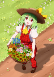 Rule 34 | 1girl, adapted costume, ascot, bad id, bad pixiv id, basket, cross-laced footwear, daisy, female focus, flower, from above, grass, green hair, hat, hat ribbon, julius yu, kazami yuuka, looking at viewer, looking up, open mouth, overalls, path, pigeon-toed, plaid, red eyes, ribbon, road, shadow, short hair, solo, straw hat, sunflower, touhou