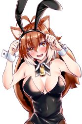 Rule 34 | 1girl, animal ears, antenna hair, arc system works, artist request, bare shoulders, blazblue, breasts, brown hair, cleavage, cuffs, detacted collar, fake animal ears, highres, large breasts, leotard, long hair, looking at viewer, makoto nanaya, multicolored hair, playboy bunny, rabbit ears, short hair, smile, squirrel ears, squirrel tail, tail, two-tone hair, white hair, yellow eyes